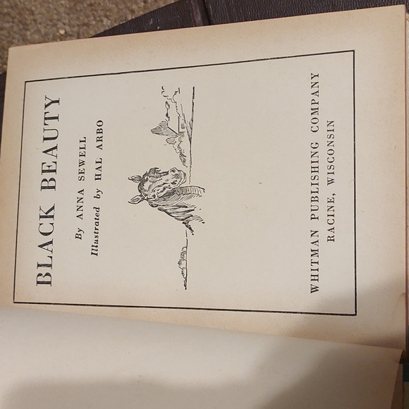 Robin Hood by Howard Pyle, Black Beauty Anna Sewell Whitman Publishing Company - Picture 11 of 14